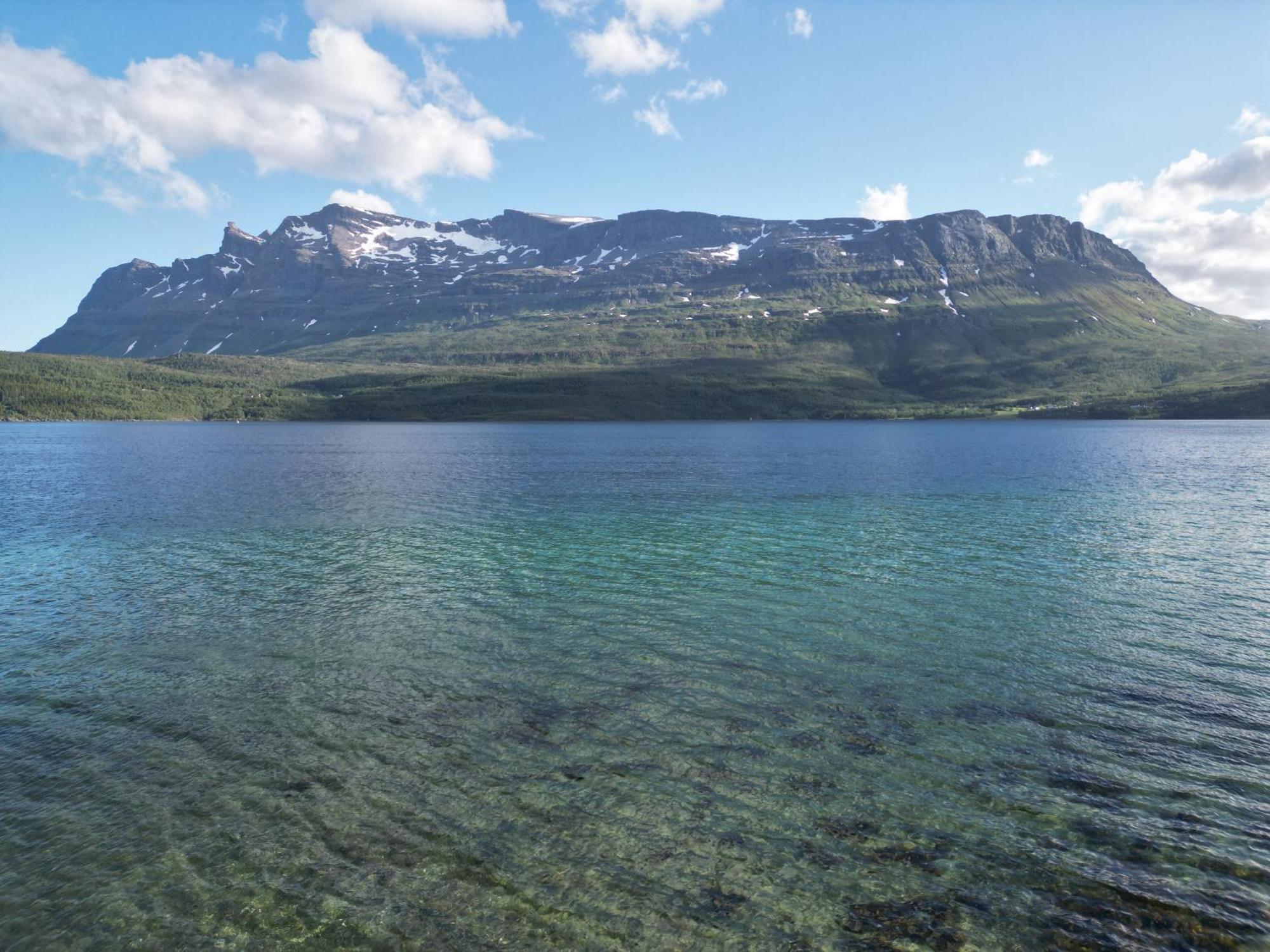 The Emerald Coast Cabin Grov Exteriör bild