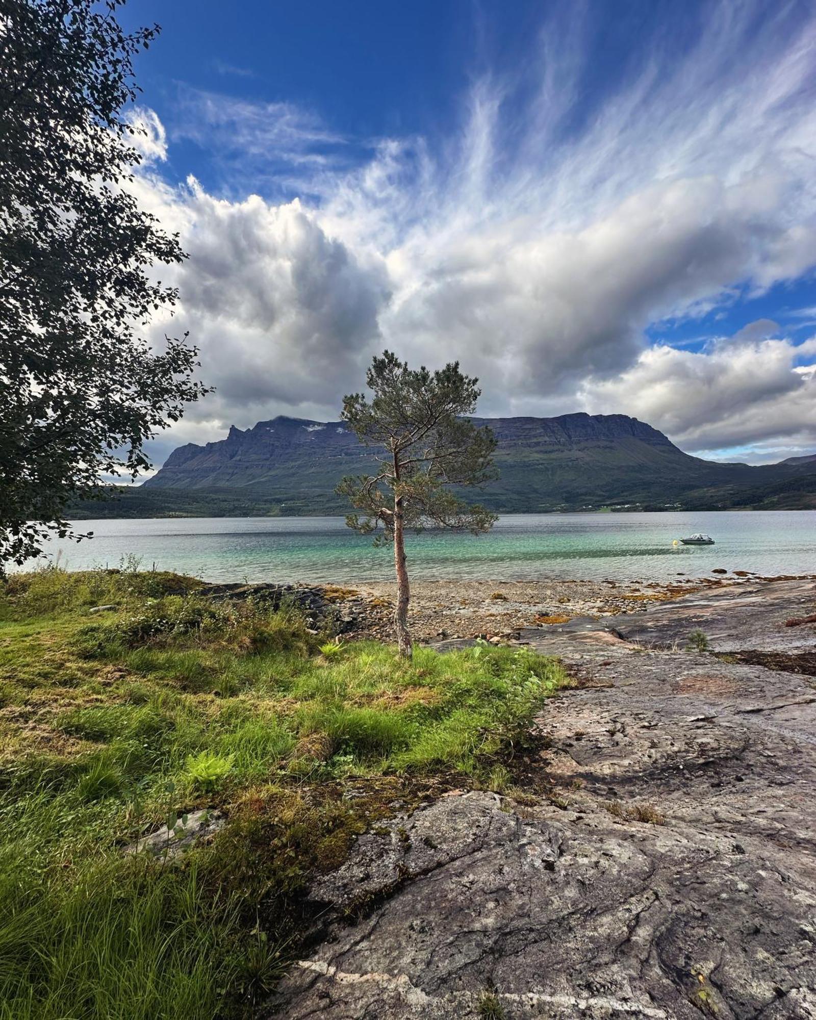 The Emerald Coast Cabin Grov Exteriör bild